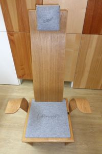 Stuhl mit ergonomischer R&uuml;cken- und Armlehne (5)